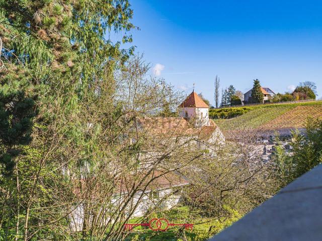 Maison vente à Mailly-Champagne, Marne