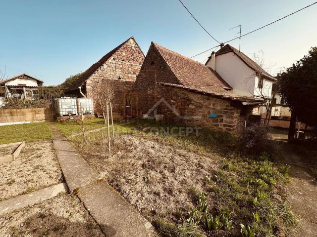 Maison vente à Marlenheim, Collectivité européenne d'Alsace