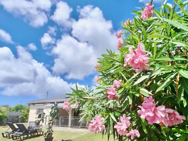 Maison location à Guadeloupe