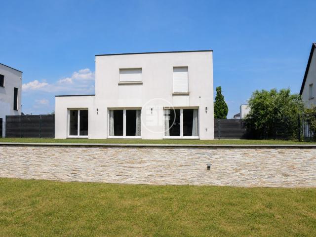 Maison location à Deerlijk, West-Vlaanderen