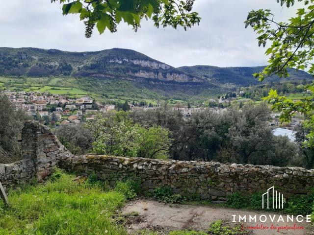 Maison vente à Le Puits de Calès, Millau