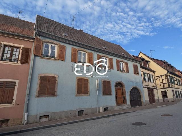 Maison vente à Molsheim, Collectivité européenne d'Alsace