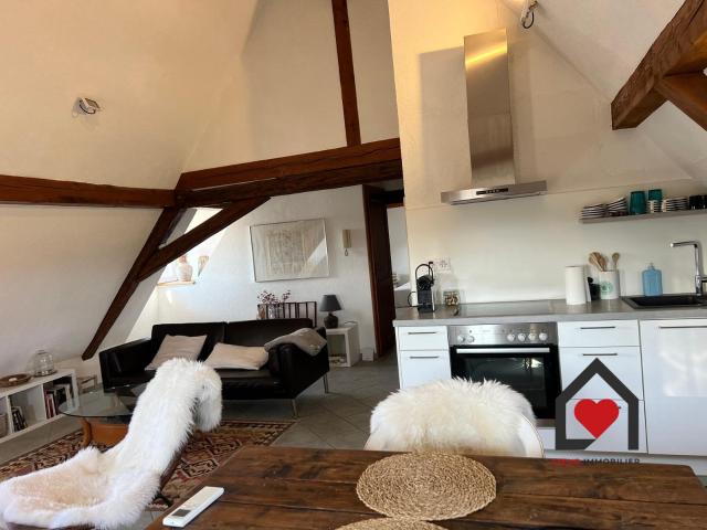Maison vente à Mulhouse, Kembs