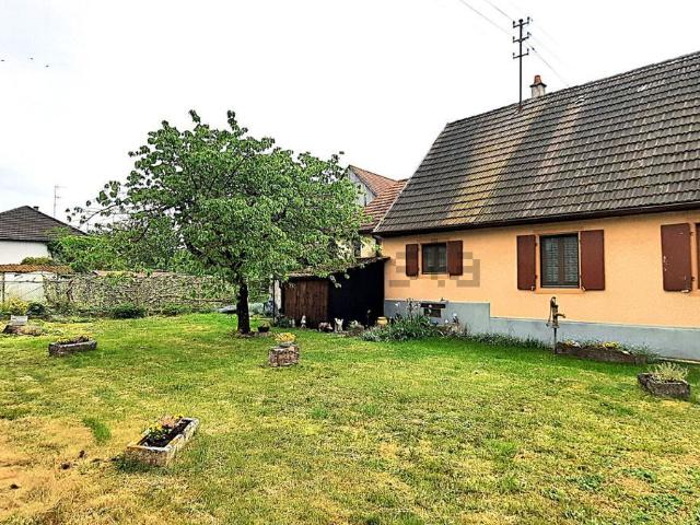 Maison vente à Muttersholtz, Collectivité européenne d'Alsace