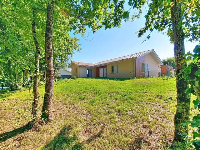 Maison vente à France métropolitaine, Sanguinet