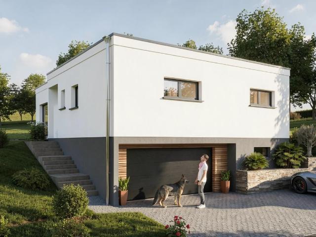 Maison vente à Schlierbach, Collectivité européenne d'Alsace