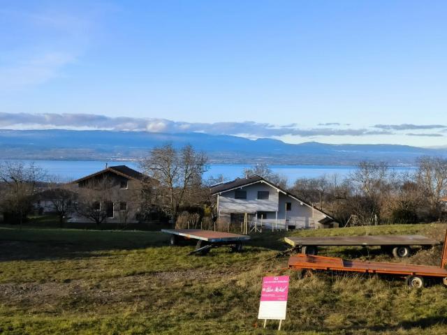 Maison vente à Thonon-les-Bains, Marin
