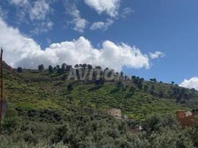 Maison vente à Mellal