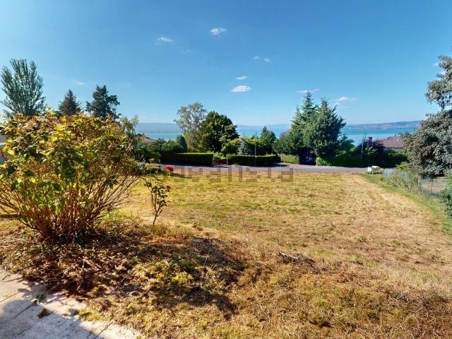 Maison vente à Grande Rive, Neuvecelle