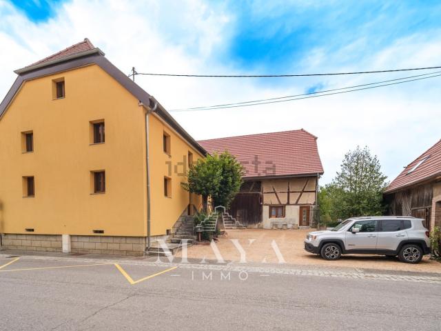 Maison vente à Oltingue, Collectivité européenne d'Alsace
