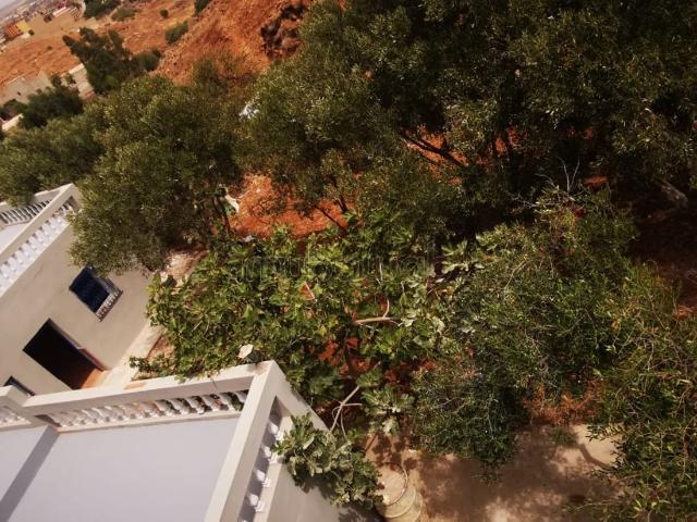 Villa vente à Nador