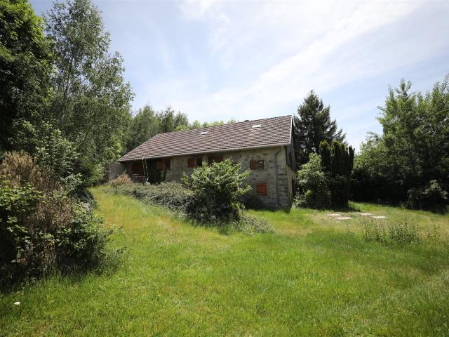 Maison vente à Saint-Dié-des-Vosges, La Croix-aux-mines