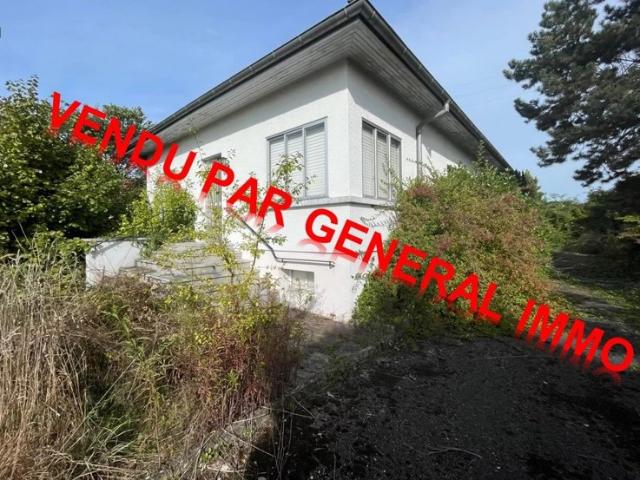 Maison vente à Mulhouse, Blotzheim