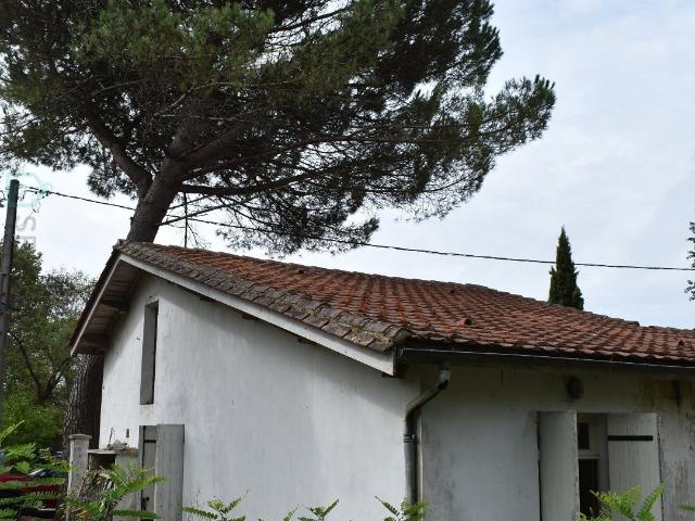 Maison vente à Périgueux, Moulin-neuf