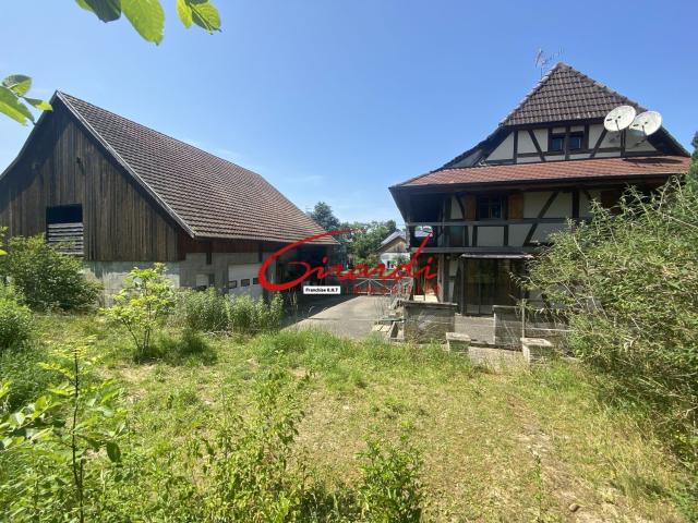 Maison vente à Rantzwiller, Collectivité européenne d'Alsace