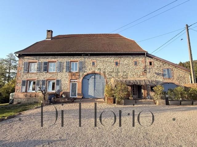 Maison vente à Raves, Vosges