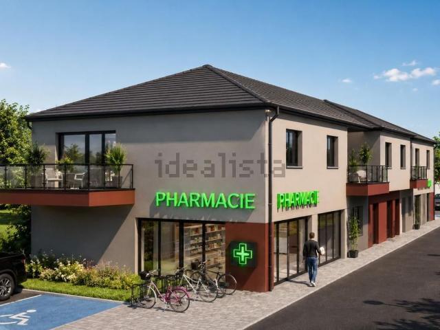 Maison vente à Réguisheim, Collectivité européenne d'Alsace