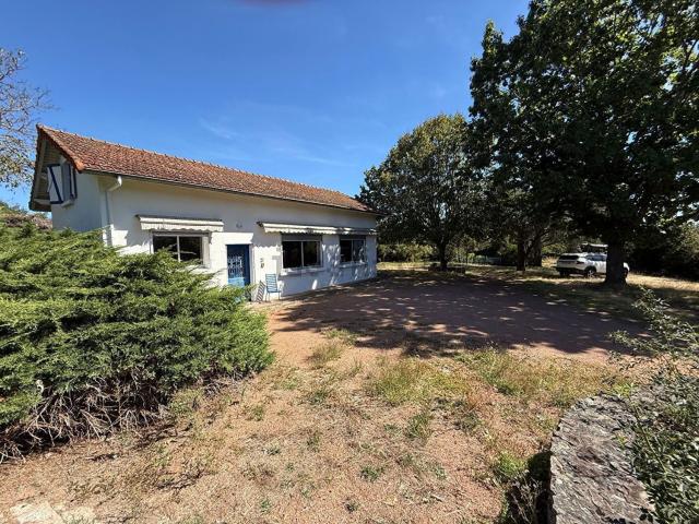 Maison vente à Servaud, Saint-Haon-le-Vieux