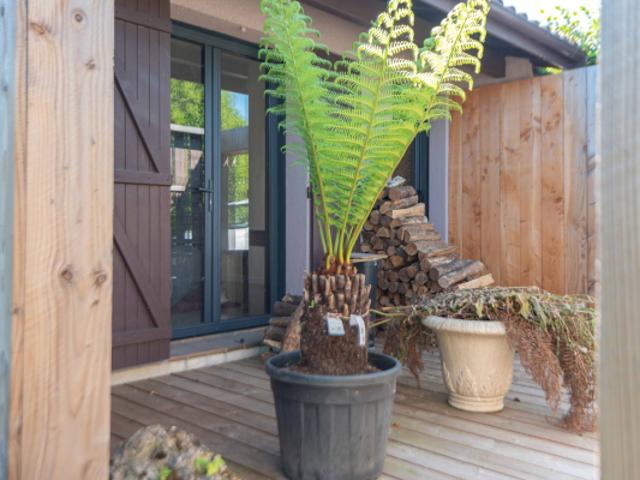 Maison vente à Quinsac, Gironde