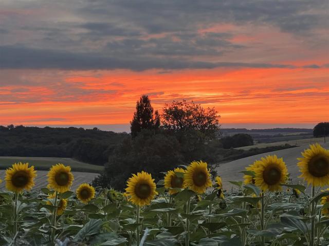 Maison vente à Cognac, Nouvelle-Aquitaine