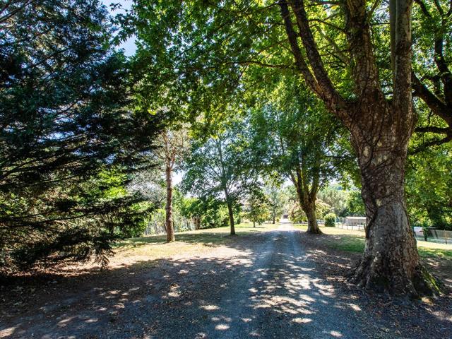 Maison vente à France métropolitaine, Aire-sur-l'adour