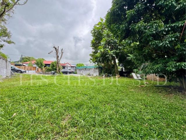 Maison vente à La Réunion