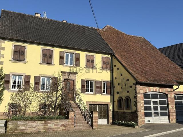 Maison vente à Rexingen, Collectivité européenne d'Alsace
