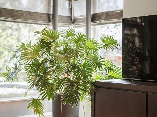 Woning te huur in 's-Gravenland, Rotterdam