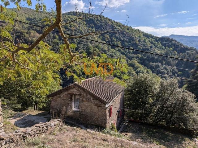 Maison vente à Saint-André-de-Valborgne, Gard