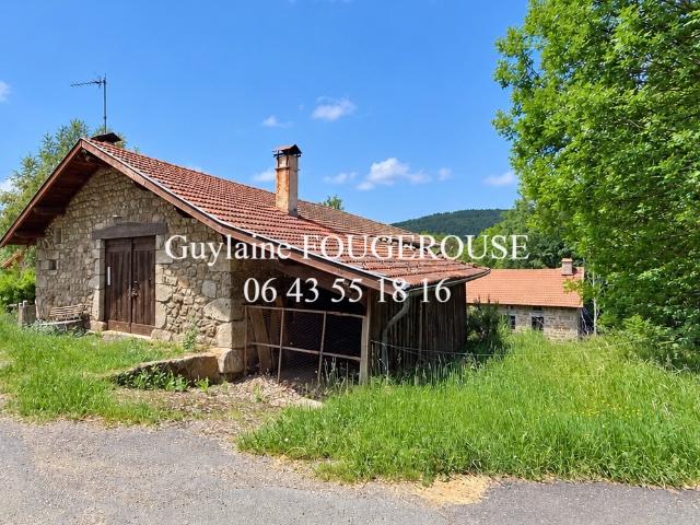 Maison vente à Rambaud, Saint-Anthème