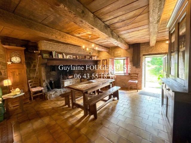 Maison vente à Ambert, Saint-anthème
