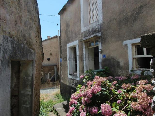 Maison vente à Danzay, Saint-Georges-de-Noisné