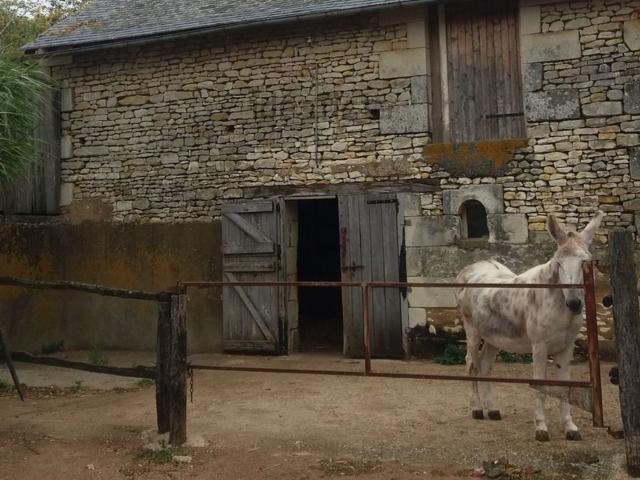 Maison vente à Chouppes, Vienne