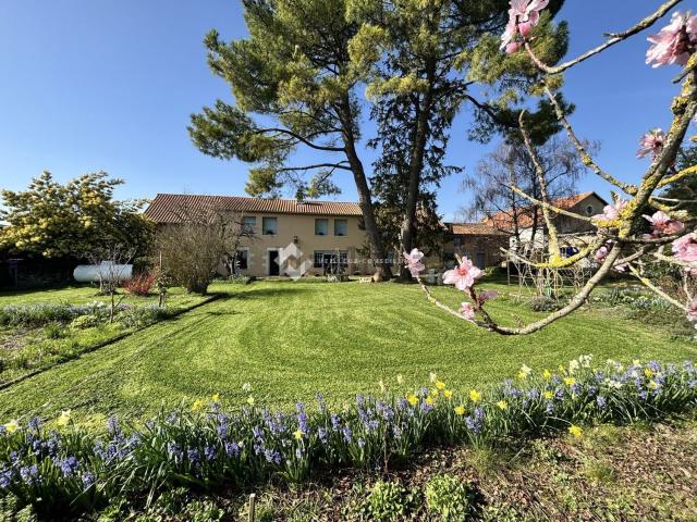 Maison vente à Vendeuvre-du-Poitou, Saint-Martin-la-Pallu