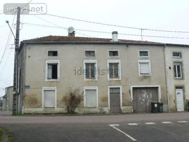 Maison vente à Saint-Ouen-lès-Parey, Vosges