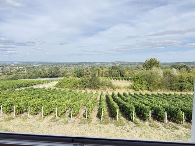 Maison vente à Le Cercueil, Sancerre