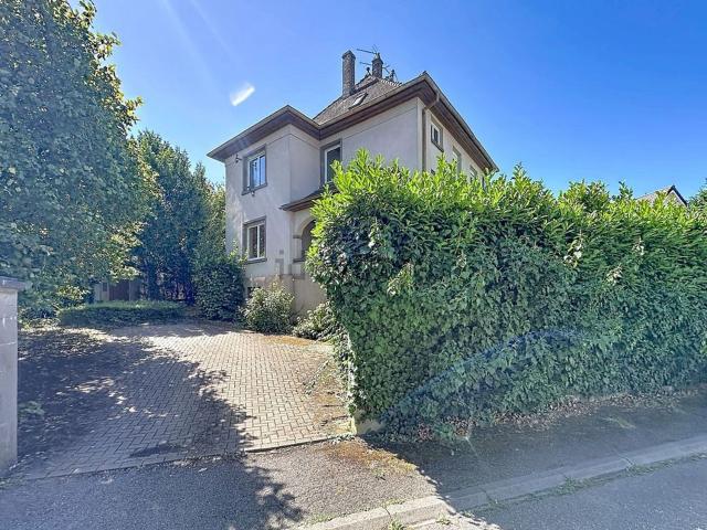Maison vente à Saverne, Collectivité européenne d'Alsace