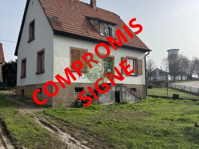 Maison vente à Schœnenbourg, Collectivité européenne d'Alsace