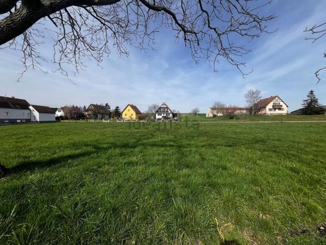 Maison vente à Schwenheim, Collectivité européenne d'Alsace