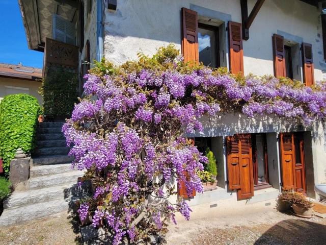 Maison vente à Les Praz Lyonie, Sciez