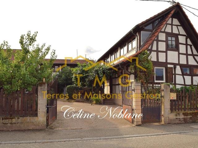 Maison vente à Kesseldorf, Collectivité européenne d'Alsace