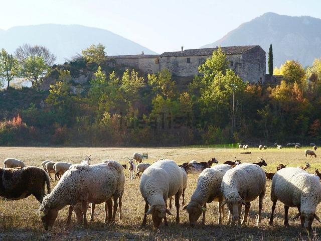 Maison vente à Ribiers, Sisteron