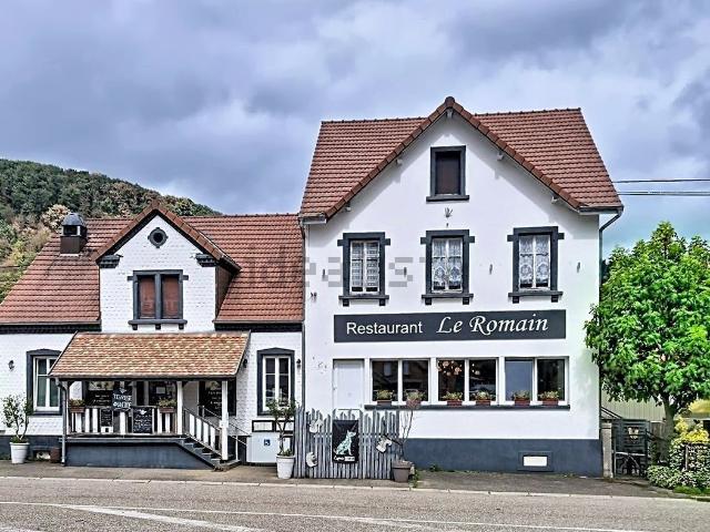 Maison vente à Solbach, Collectivité européenne d'Alsace