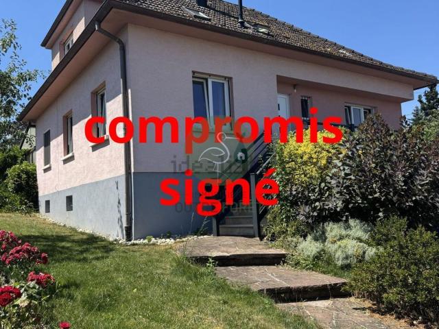 Maison vente à Kutzenhausen, Collectivité européenne d'Alsace