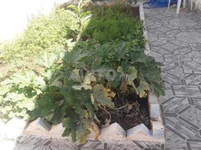 Propriété vente à Chauen, Tanger-Tétouan