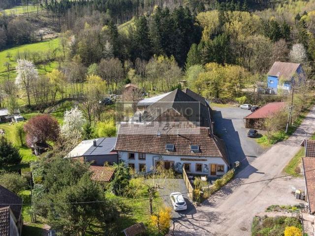 Maison vente à Steige, Collectivité européenne d'Alsace