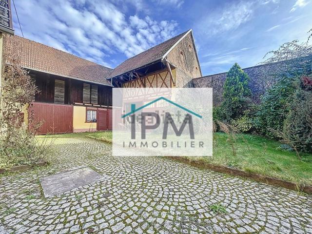Maison vente à Stotzheim, Collectivité européenne d'Alsace