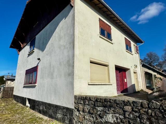 Maison vente à Yssingeaux, Saint-bonnet-le-froid