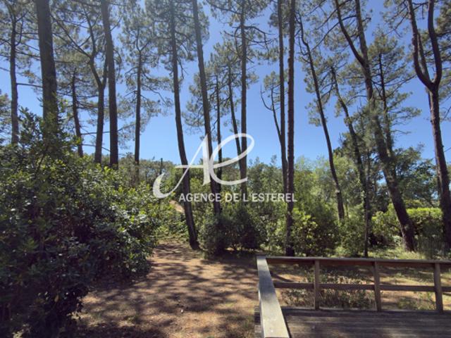 Maison vente à Arcachon, Lège-cap-ferret