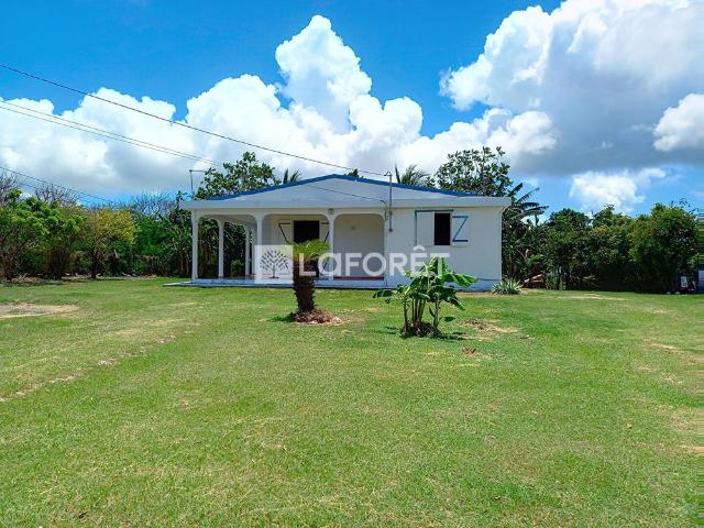 Maison location à Guadeloupe
